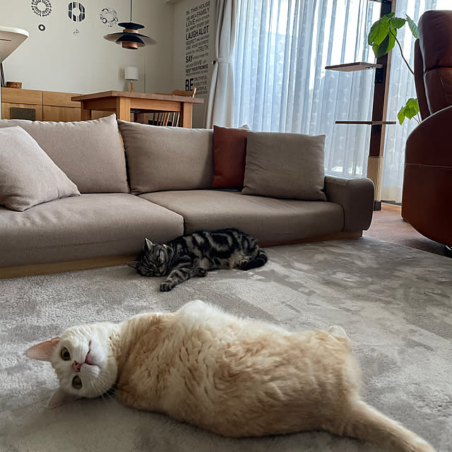 hiyupan88さんの実例写真