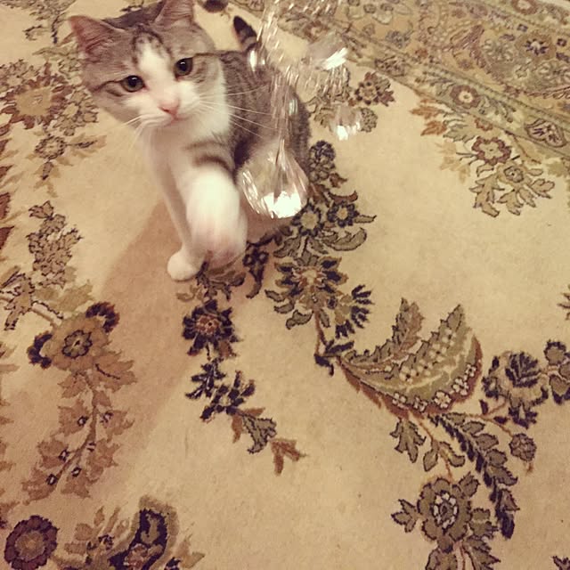 emmyyさんの実例写真