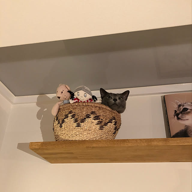 tomokoさんの実例写真