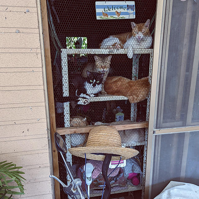 uchizukonyanさんの実例写真