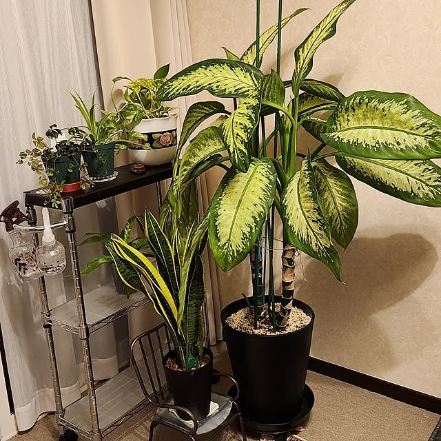 takoさんの部屋