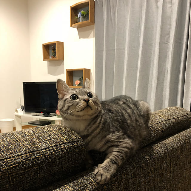 syrnuu946さんの実例写真
