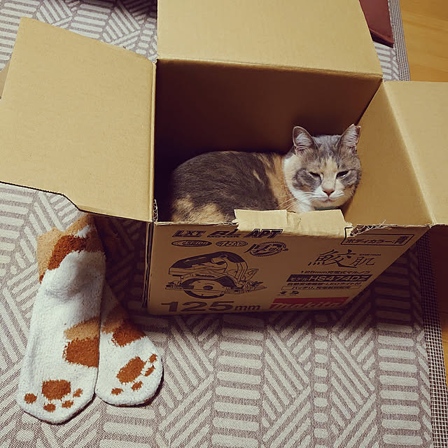 fukuさんの実例写真