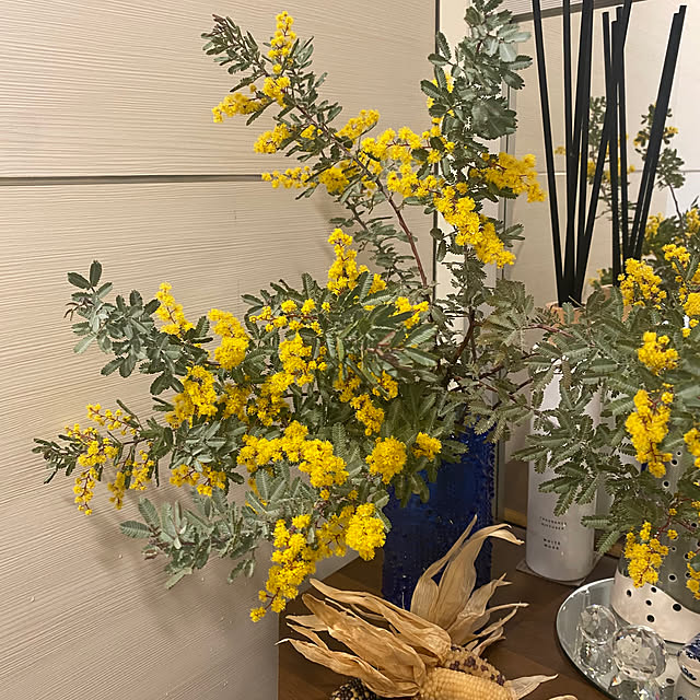 fu-mufumuさんの部屋