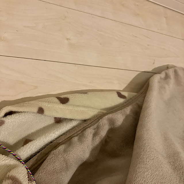 u-さんの実例写真