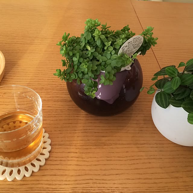 hachiさんの実例写真