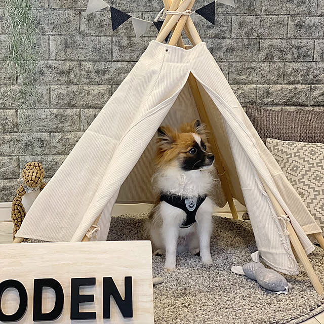 yumirilさんの実例写真