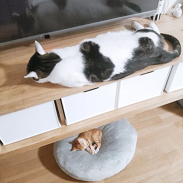 kirakirahikaruさんの部屋