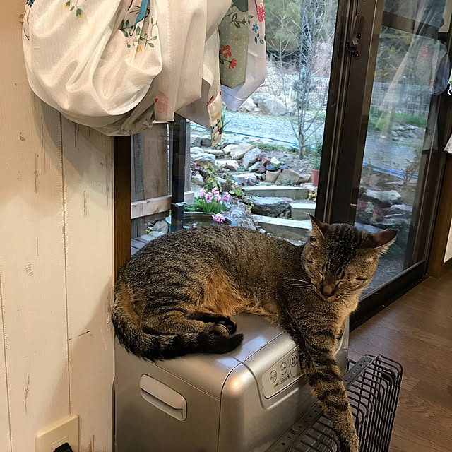 pepeさんの実例写真