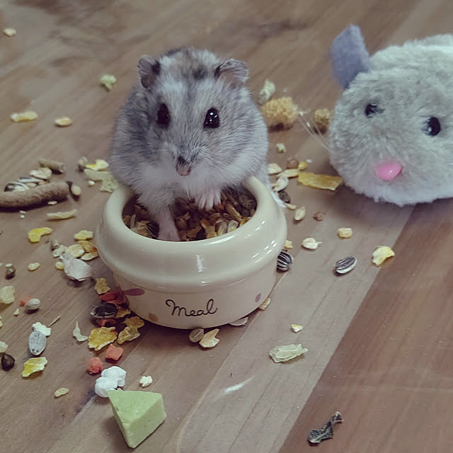 Ri-さんの実例写真