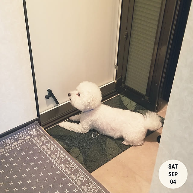 takoさんの実例写真