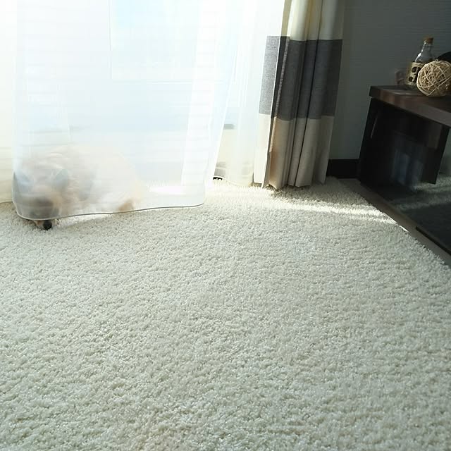 kojikojiさんの実例写真
