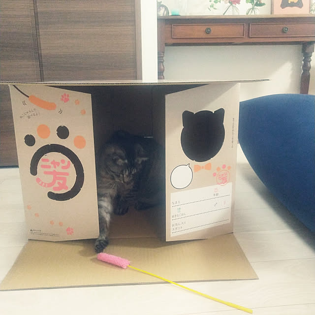 miumiuさんの実例写真