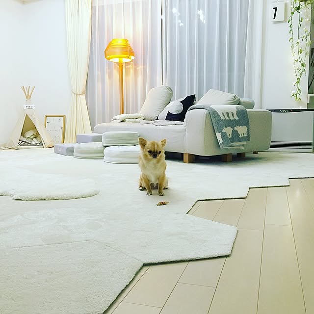 haruhinaさんの実例写真