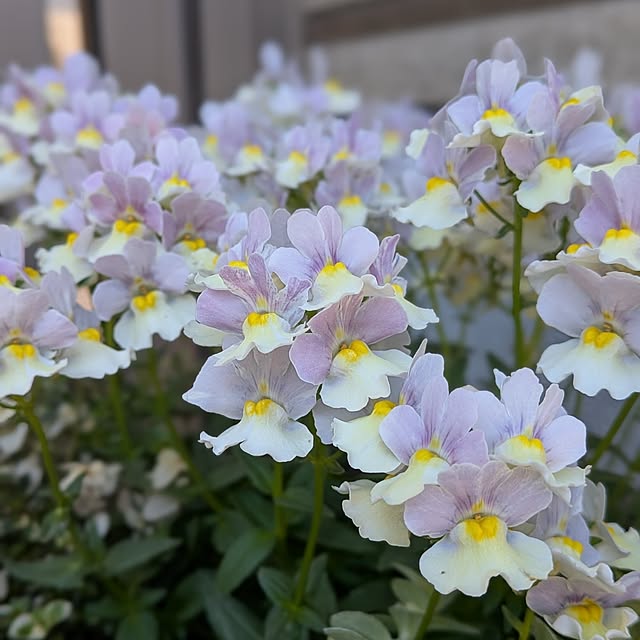 kumijiさんの部屋