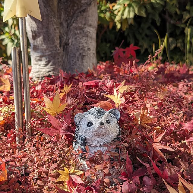 chiz3さんの部屋