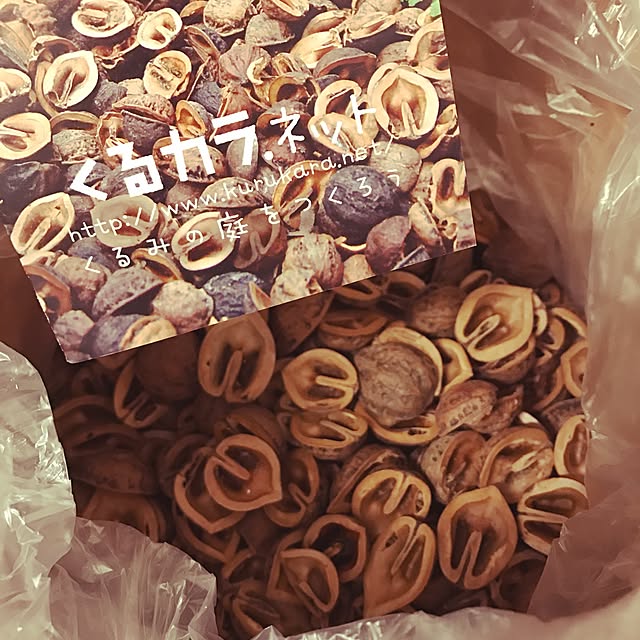 373さんの実例写真