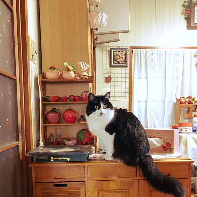 eimyさんの実例写真
