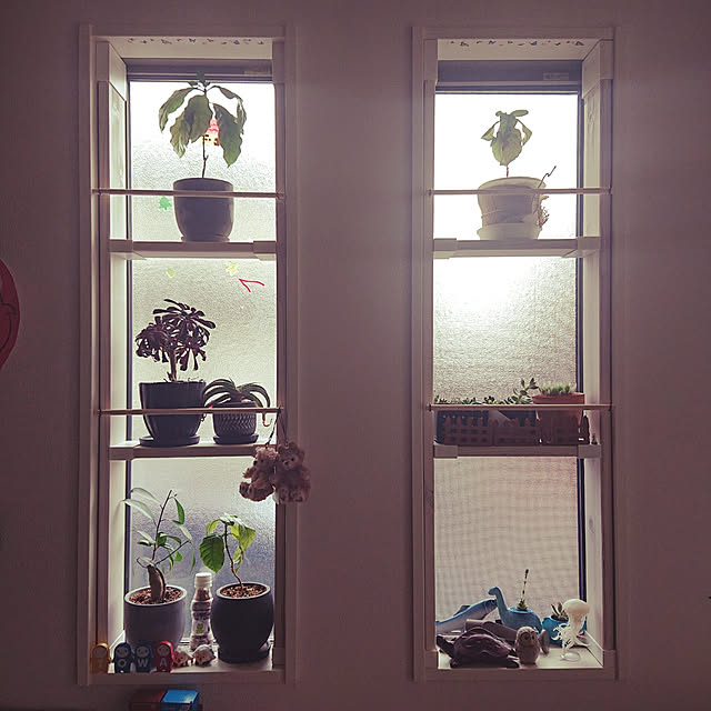 棚/DIY/多肉寄せ植え/みどりのある暮らし/花のある暮らし...などのインテリア実例 - 2023-01-22 13:33:00