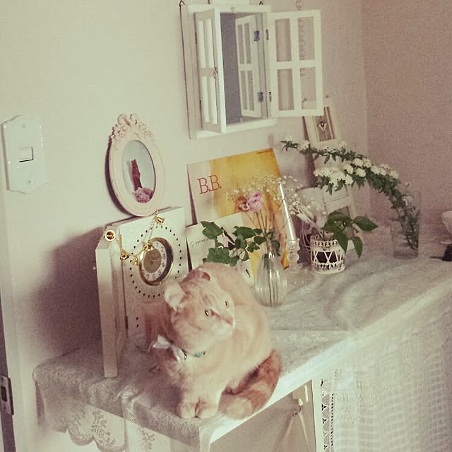 cottonさんの実例写真