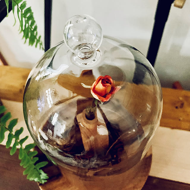 HAKOさんの部屋
