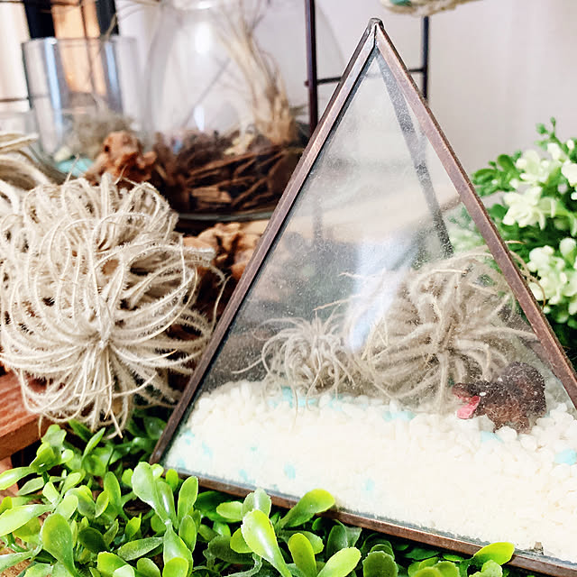 yuyuさんの実例写真