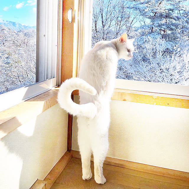 weさんの実例写真