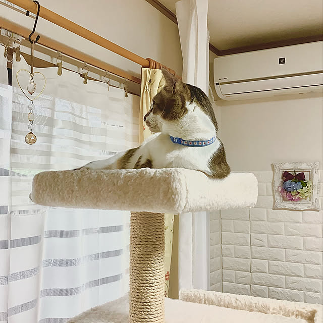 haruminさんの実例写真