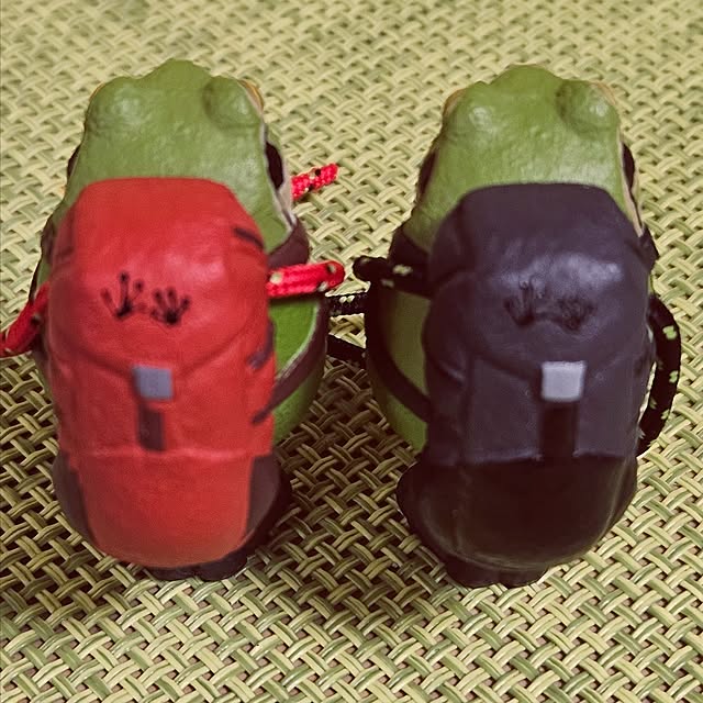 mocomocoさんの部屋