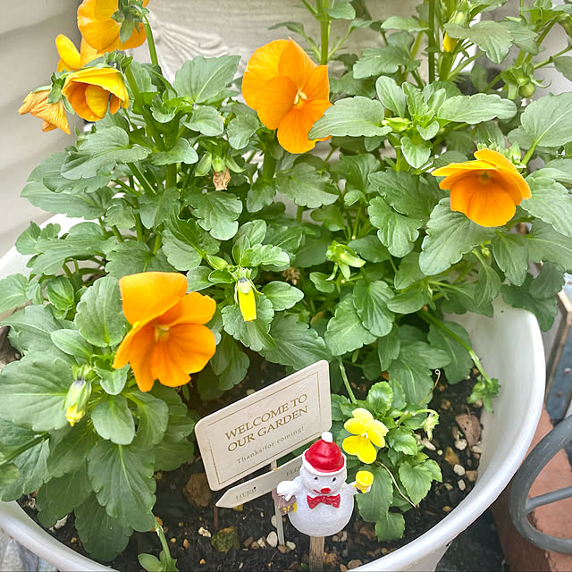 YuuKoさんの実例写真