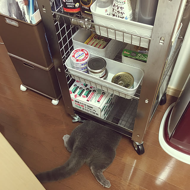 kittyさんの実例写真