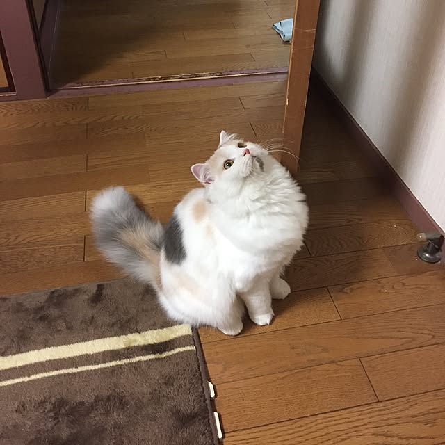 keibooさんの実例写真