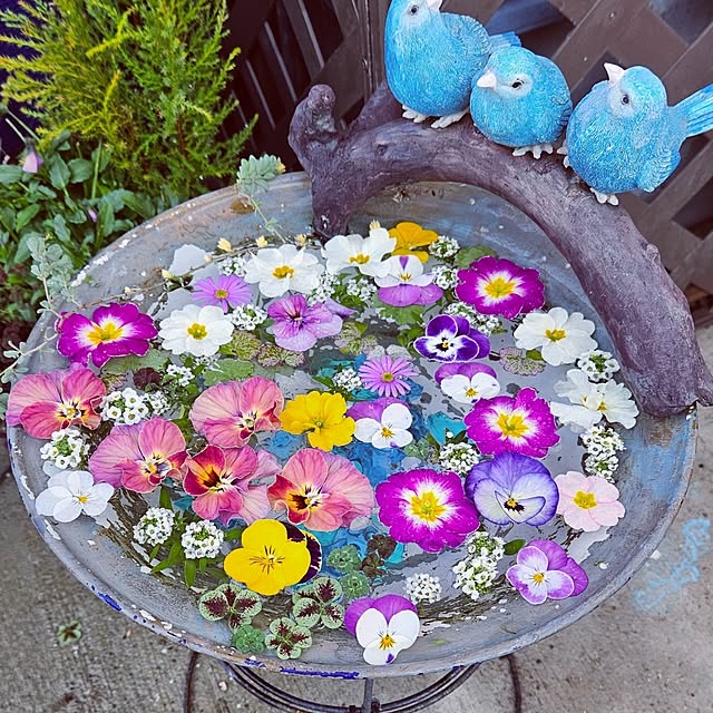 mocomocoさんの実例写真