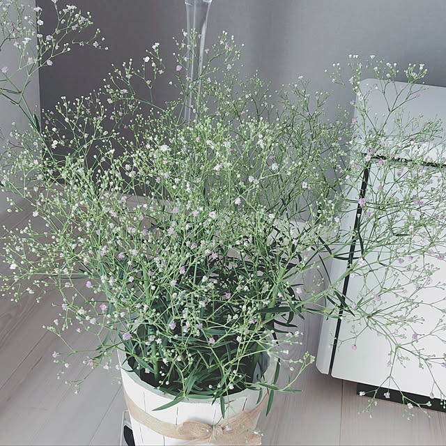ukoさんの実例写真