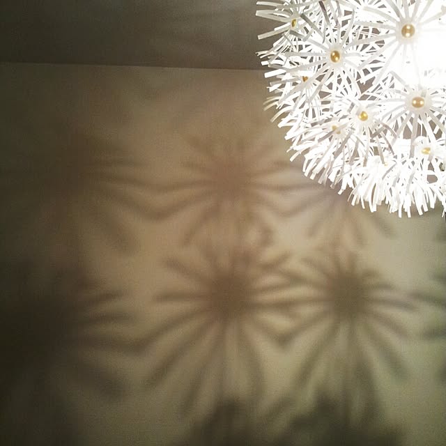 maxさんの実例写真