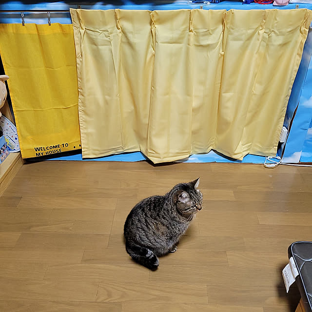 berariさんの実例写真