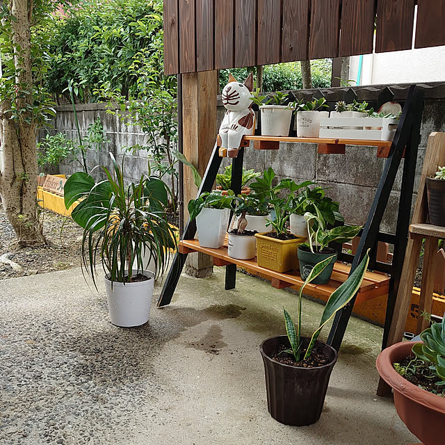 fukuさんの実例写真