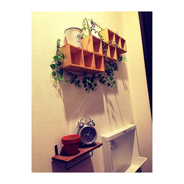 バス/トイレ/セリア/100均/多肉植物のインテリア実例 - 2015-03-01 23:24:10