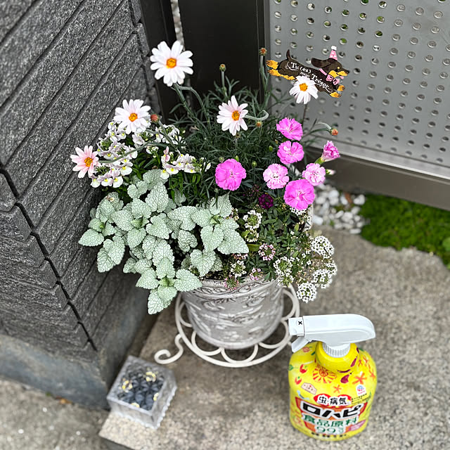 maayaさんの部屋