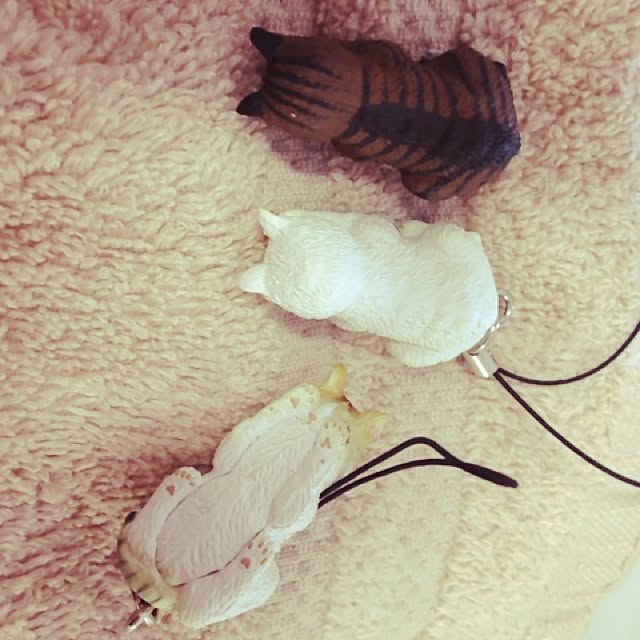 yufullfullさんの実例写真