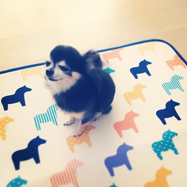 Kanaさんの実例写真