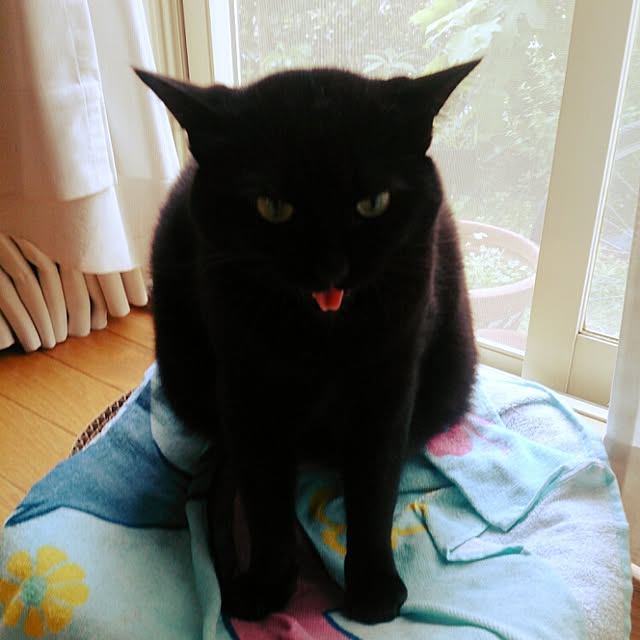 naru2014さんの実例写真