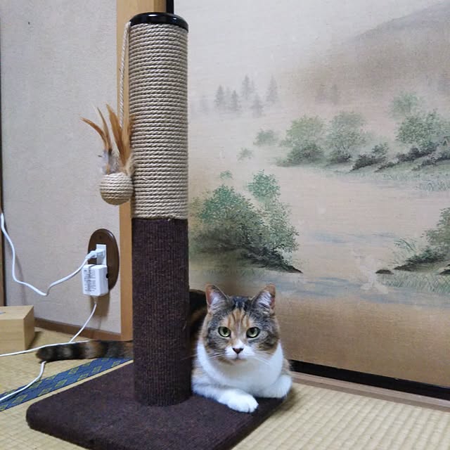 yukieさんの実例写真