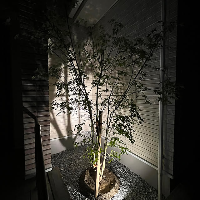 sakusakuさんの部屋