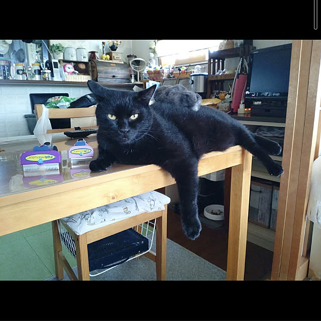mntcさんの実例写真