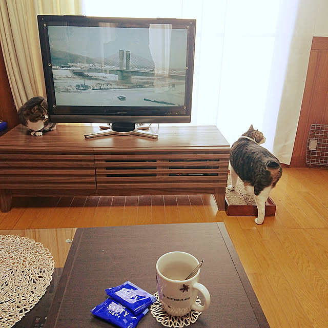 nachiさんの実例写真