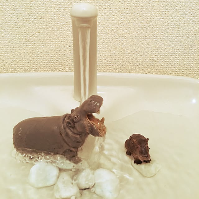 sadaさんの実例写真