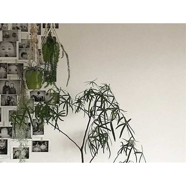 sot1127さんの実例写真