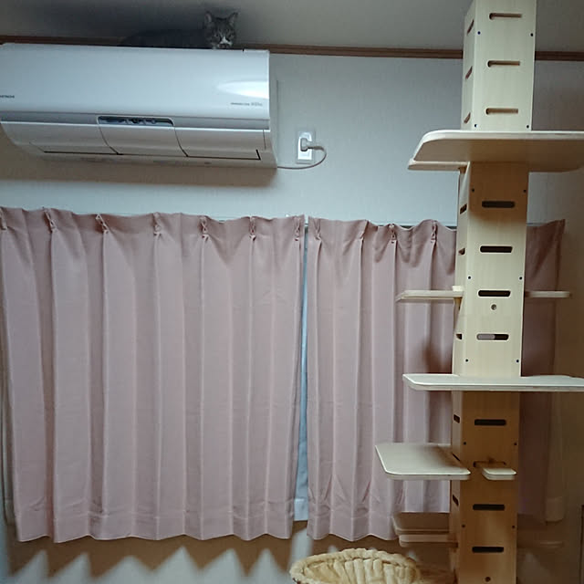 nachiさんの実例写真