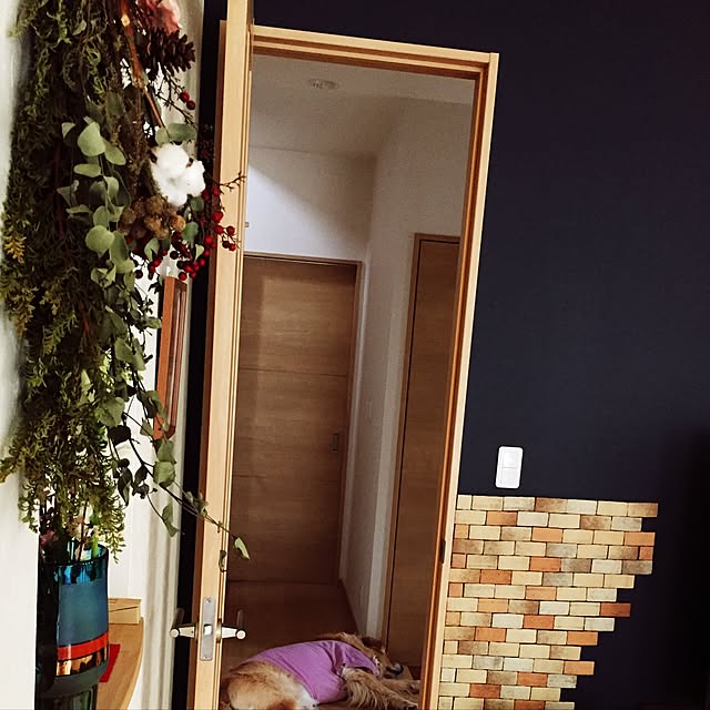 Kazueさんの実例写真